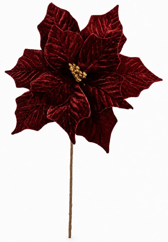 Picture of Valvet Poinsettia Stem 33cm Burgundy